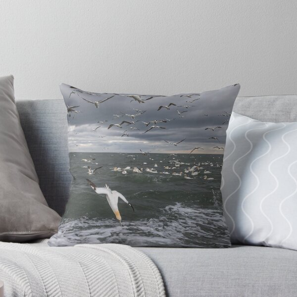 Aperçu de l'œuvre Northern Gannet colony créée et vendue par AliMarleyPhoto.