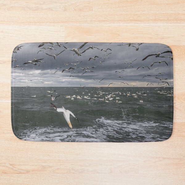Item preview, Northern Gannet colony designed and sold by AliMarleyPhoto.