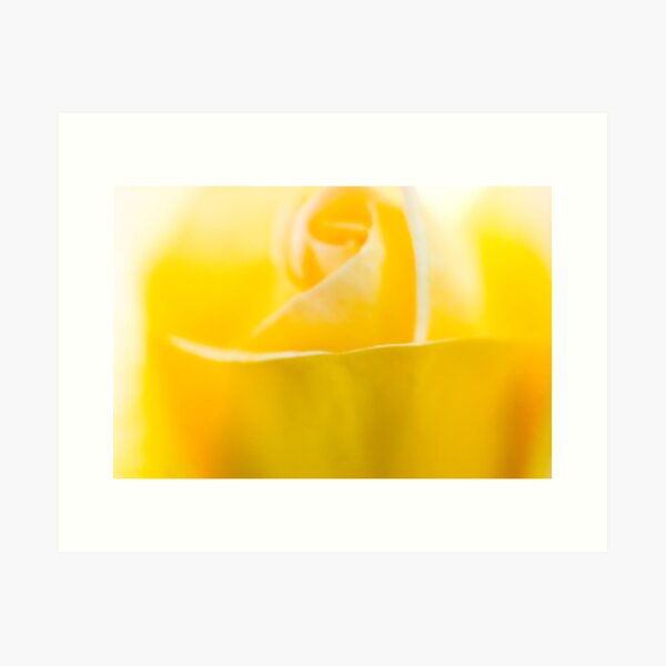 Artikelvorschau, Yellow Floewr Closeup entworfen und verkauft von Andy Brooks.