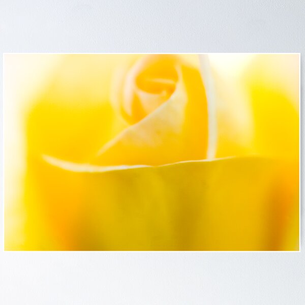 Artikelvorschau, Yellow Floewr Closeup entworfen und verkauft von Andy Brooks.