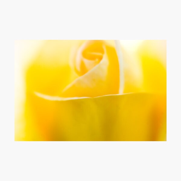 Artikelvorschau, Yellow Floewr Closeup entworfen und verkauft von Andy Brooks.