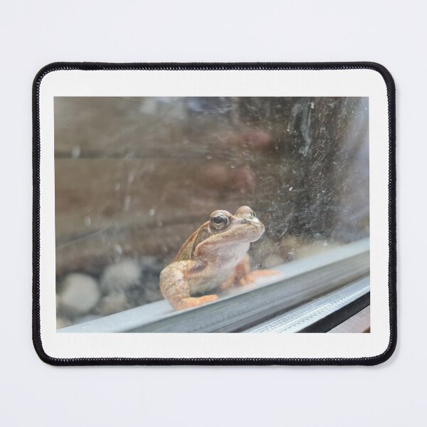 Item preview, Mr Toad designed and sold by fgspechti.