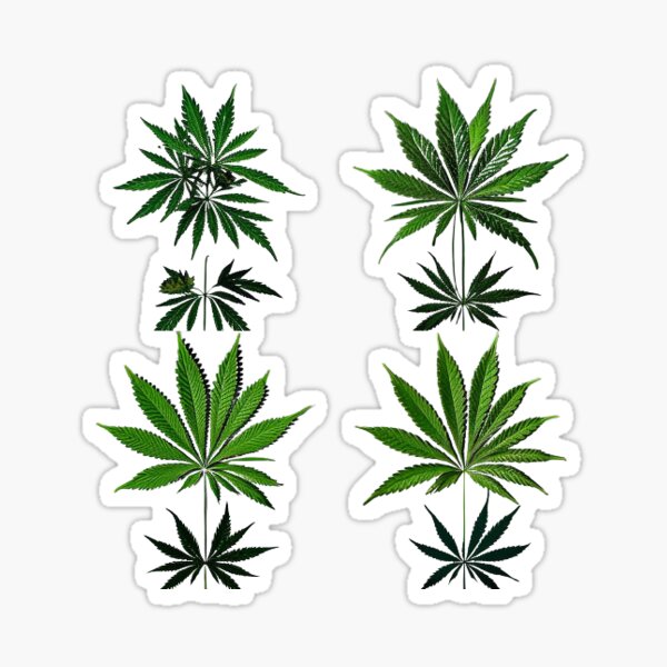 420 Svg, Marijuana Svg, Weed Svg, Cannabis Svg, Ganja Svg, Stoner