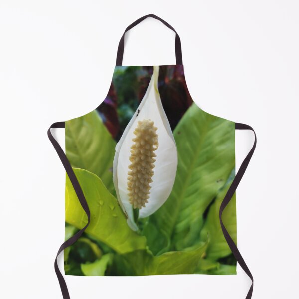 Item preview, Spathiphyllum wallisii designed and sold by HomHai.