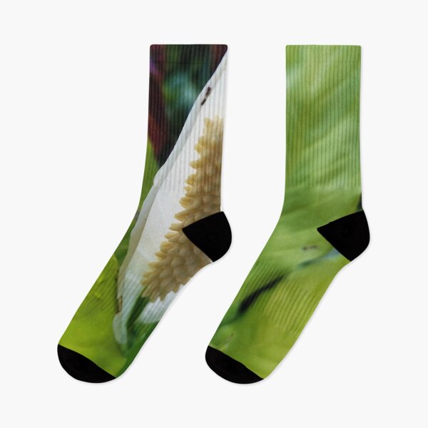 Item preview, Spathiphyllum wallisii designed and sold by HomHai.