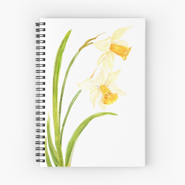 Item preview, 2 daffodils watercolor painting hand painted  designed and sold by ColorandColor.