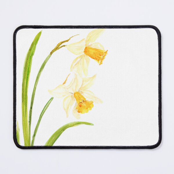 Item preview, 2 daffodils watercolor painting hand painted  designed and sold by ColorandColor.