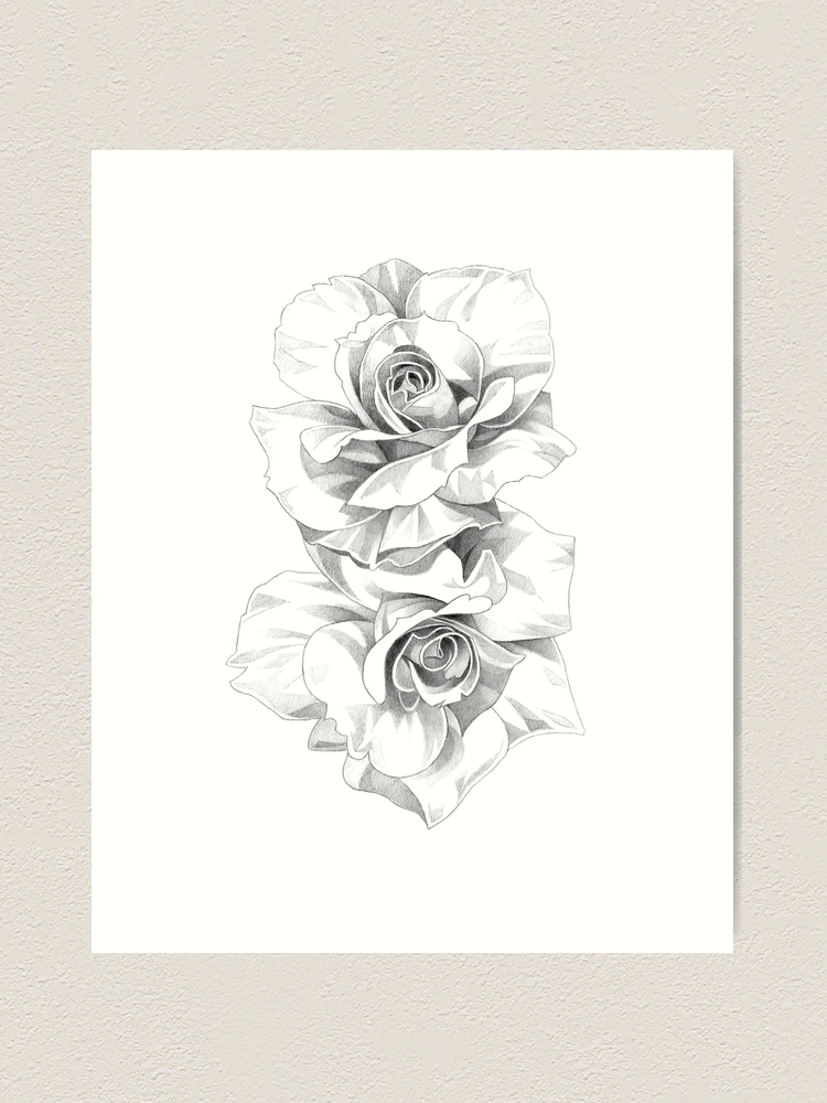 Roses Tumblr Drawing