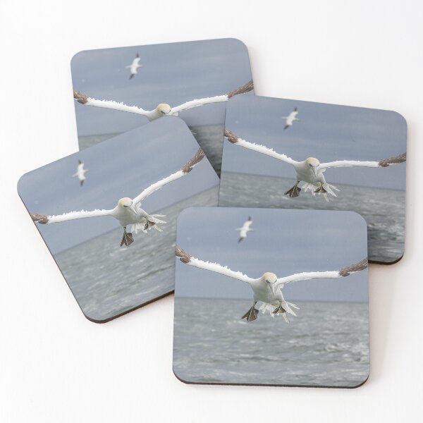 Artikelvorschau, Northern Gannet entworfen und verkauft von AliMarleyPhoto.