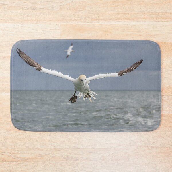 Item preview, Northern Gannet designed and sold by AliMarleyPhoto.