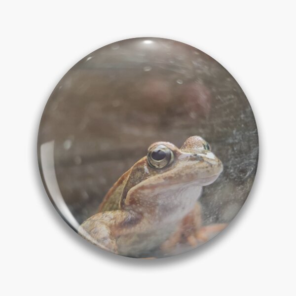 Item preview, Mr Toad designed and sold by fgspechti.