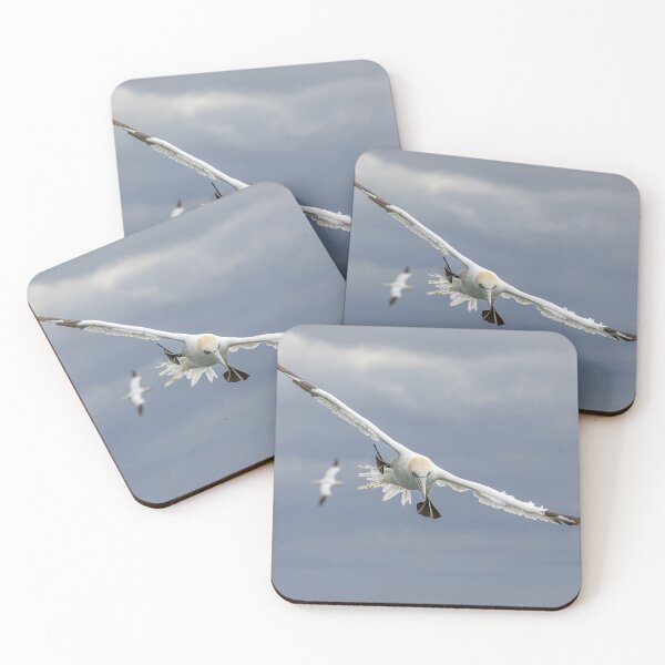 Item preview, Northern Gannet designed and sold by AliMarleyPhoto.