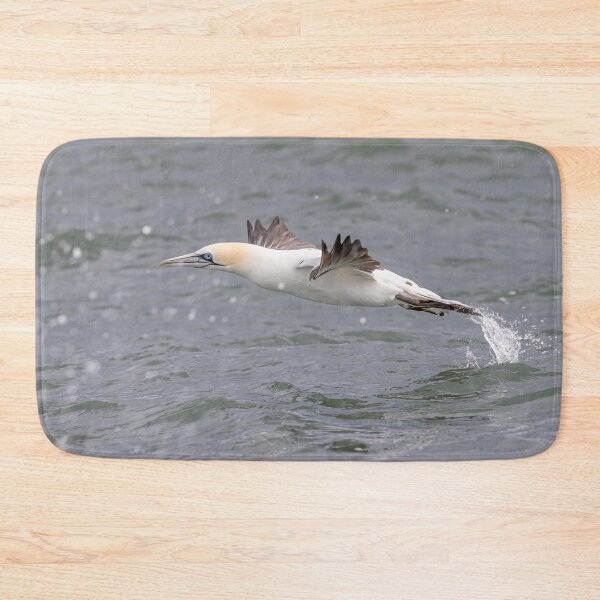 Item preview, Northern Gannet designed and sold by AliMarleyPhoto.