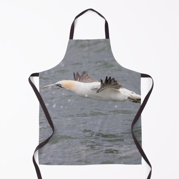Item preview, Northern Gannet designed and sold by AliMarleyPhoto.
