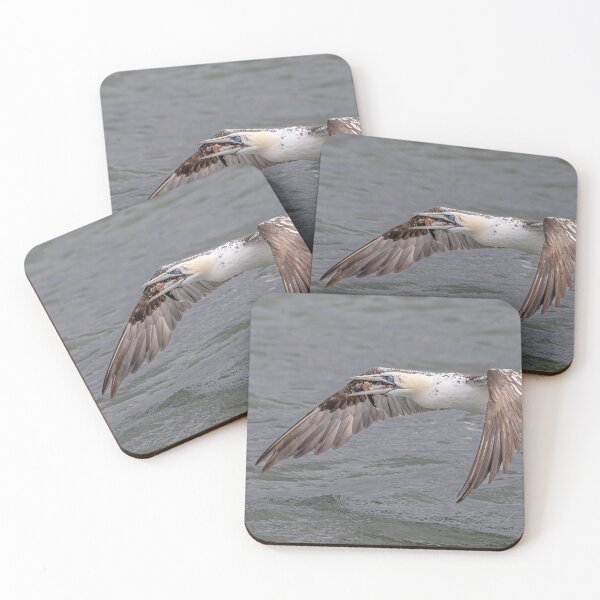 Item preview, Northern Gannet designed and sold by AliMarleyPhoto.