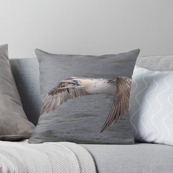 Item preview, Northern Gannet designed and sold by AliMarleyPhoto.