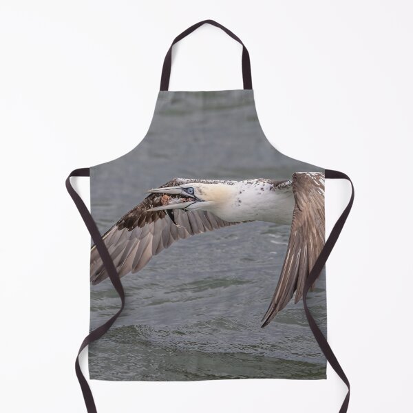 Item preview, Northern Gannet designed and sold by AliMarleyPhoto.