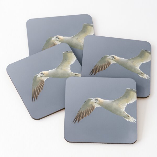 Item preview, Northern Gannet designed and sold by AliMarleyPhoto.