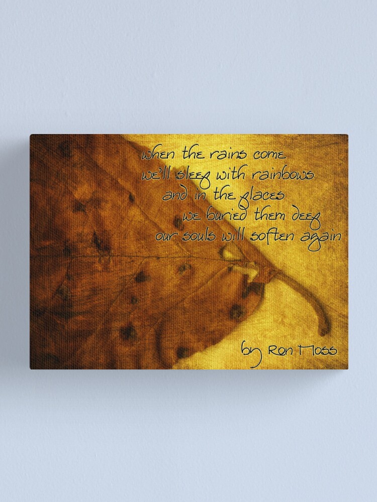 Alternate view of the rains . . . Canvas Print
