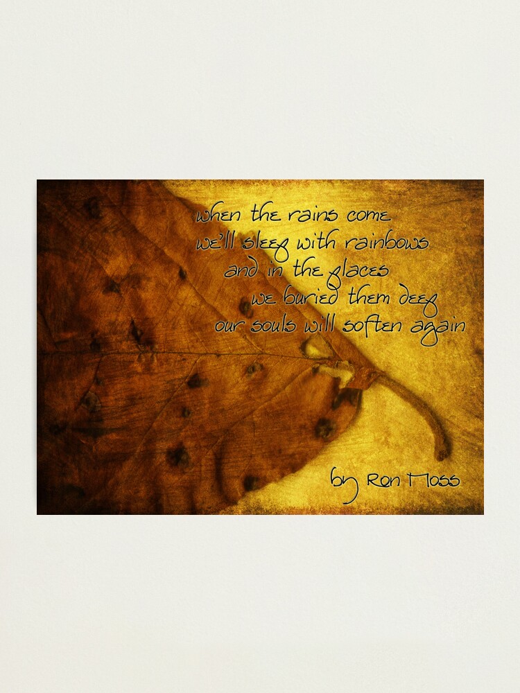 Alternate view of the rains . . . Photographic Print