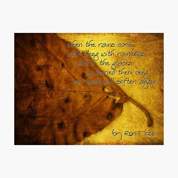 the rains . . . Photographic Print