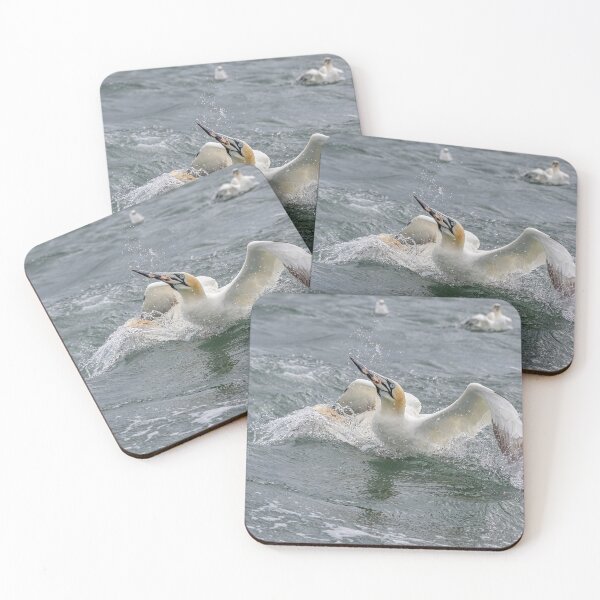 Artikelvorschau, Northern Gannet entworfen und verkauft von AliMarleyPhoto.