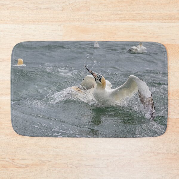 Item preview, Northern Gannet designed and sold by AliMarleyPhoto.