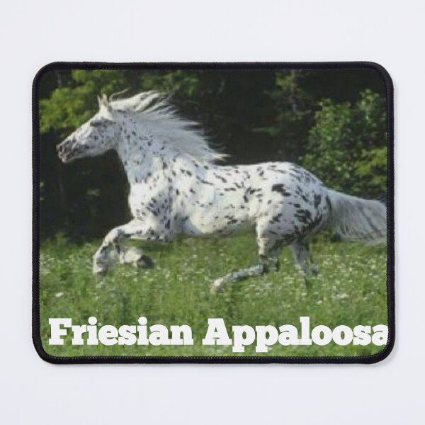 Item preview, Appaloosa Friesian Horse - Beautiful Appaloosa Horse designed and sold by sagestar.