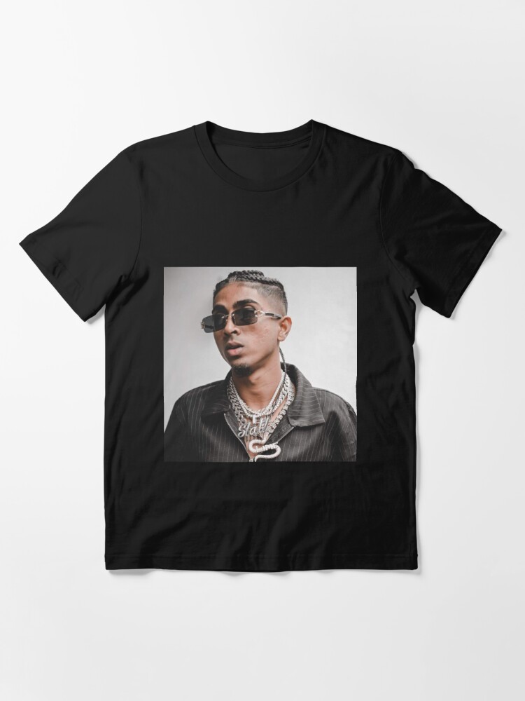 MC Stan Visualizer | Essential T-Shirt