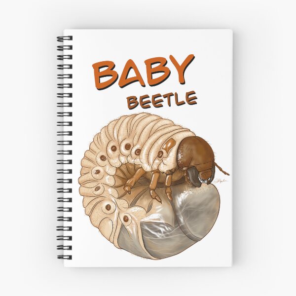 Item preview, Baby Rhinoceros Beetle designed and sold by Naturascopia.