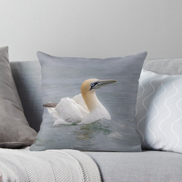 Item preview, Northern Gannet designed and sold by AliMarleyPhoto.
