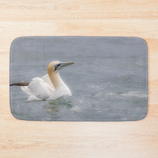 Item preview, Northern Gannet designed and sold by AliMarleyPhoto.