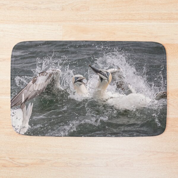 Item preview,  Northern Gannet fish fight designed and sold by AliMarleyPhoto.