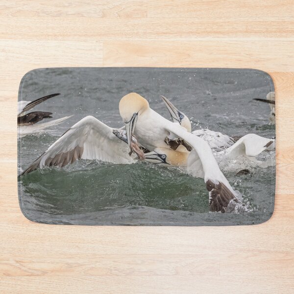 Item preview, Northern Gannet fish fight designed and sold by AliMarleyPhoto.