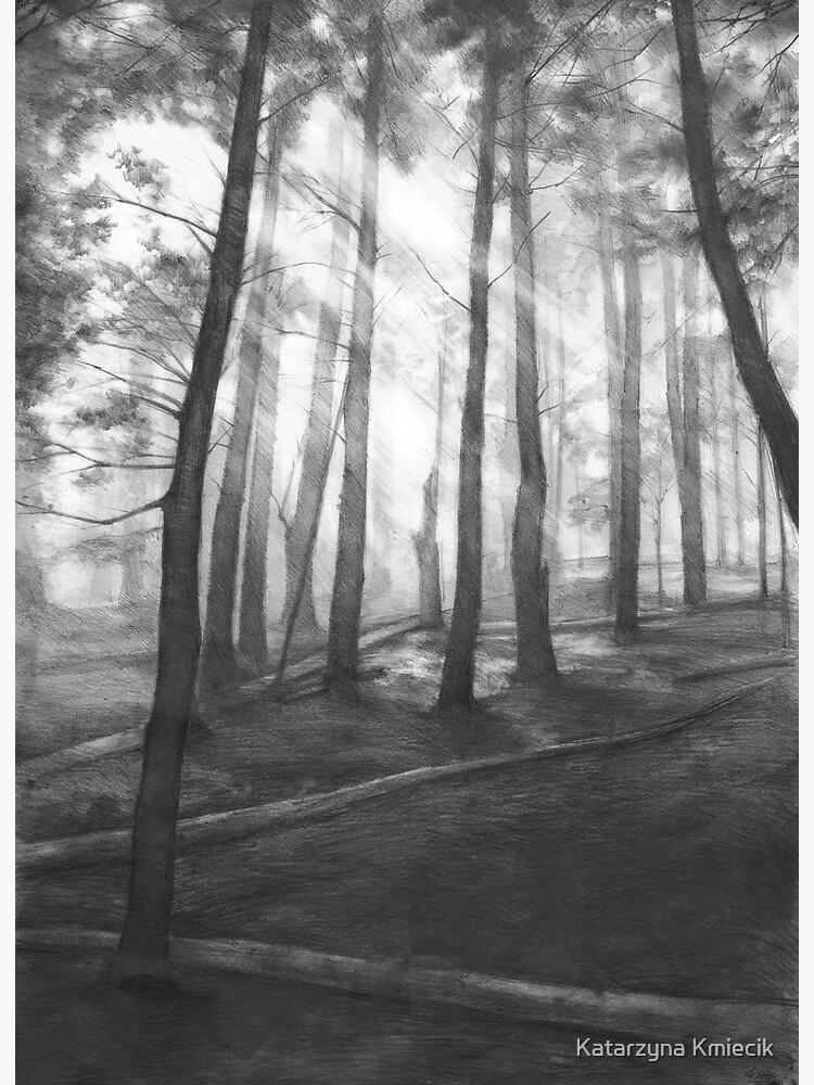 Impression Rigide Foret Sombre Dessin Au Crayon Realiste Par Kkmiecikart Redbubble