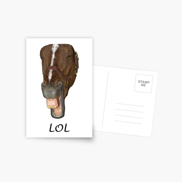Laughing horse, LOL Postcard