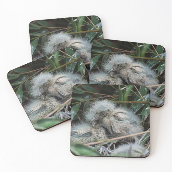 Item preview, Cute newborn baby bird. designed and sold by kstanvir.