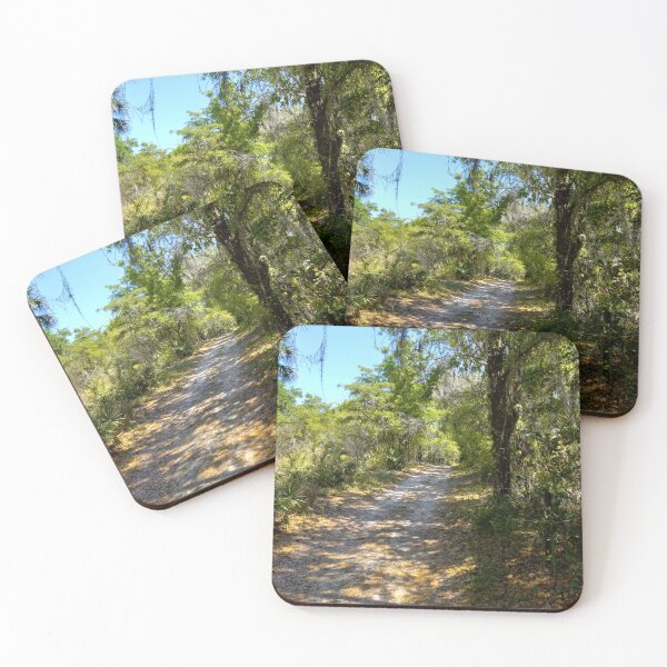 Item preview, Florida park trail designed and sold by reformedfruit.