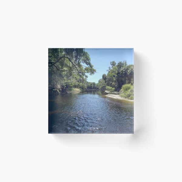 Item preview, Paynes Creek, Florida designed and sold by reformedfruit.