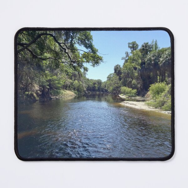Item preview, Paynes Creek, Florida designed and sold by reformedfruit.