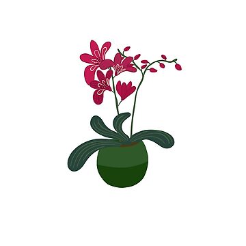 Artwork thumbnail, Orchids in a pot by Lottaw