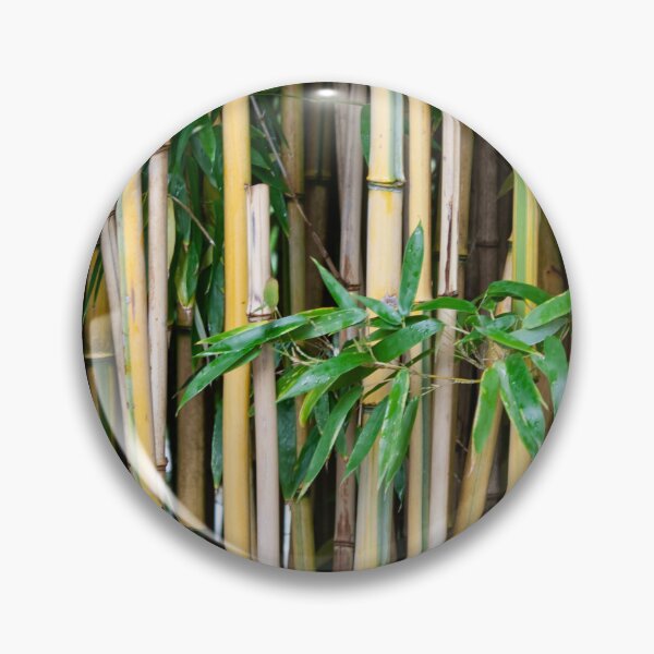 Item preview, Bamboo background designed and sold by JosephineJosipa.