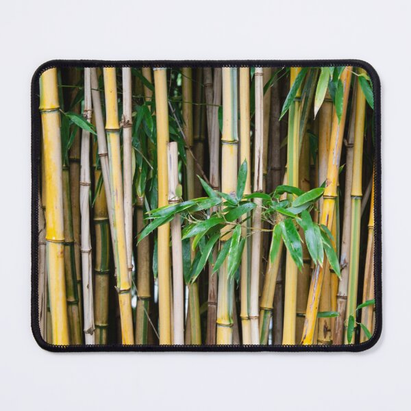 Item preview, Bamboo background designed and sold by JosephineJosipa.
