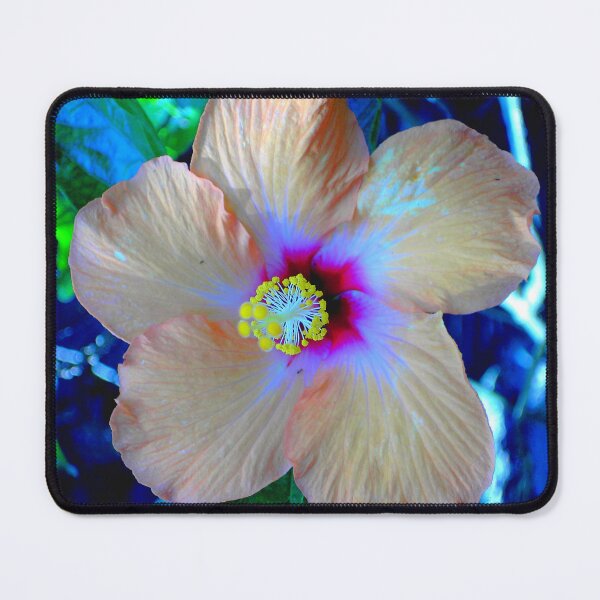 Item preview, Florida Flower designed and sold by designbywhacky.