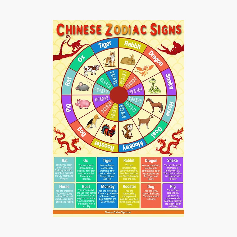 Chinese Zodiac Signs  Poster