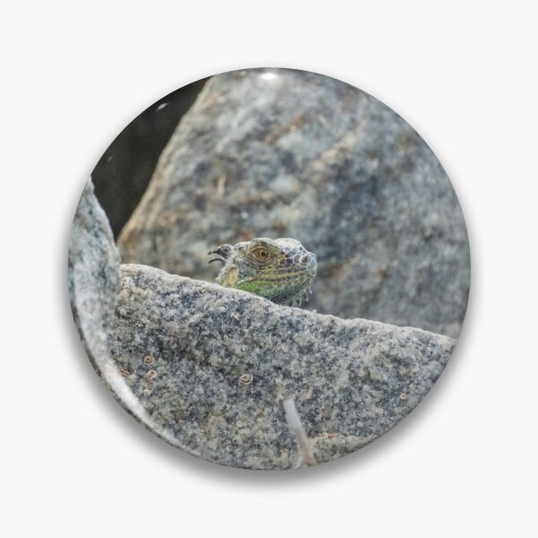 Item preview, Lizard Peek A Boo designed and sold by TinyDinoDesigns.