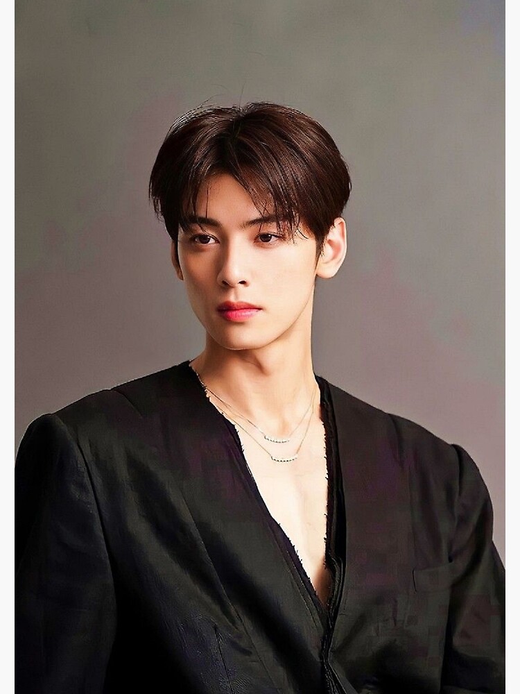 Astro Cha Eunwoo Aesthetic