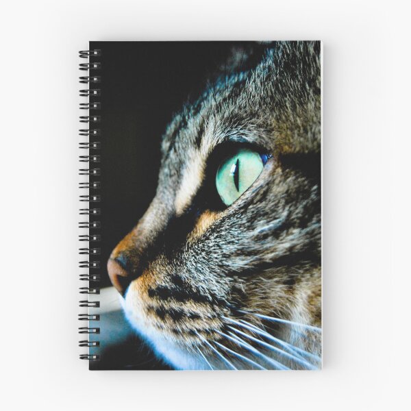 Artikelvorschau, Denkende Katze entworfen und verkauft von Giambit.