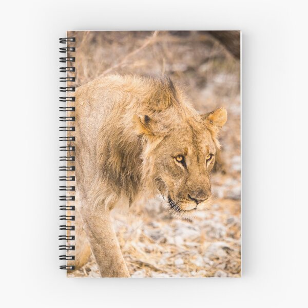 Item preview, Lion #1 designed and sold by Images by Chris de Blank.
