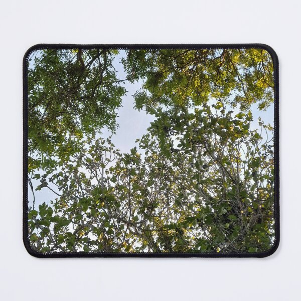 Item preview, forest sky designed and sold by Gargalithra.